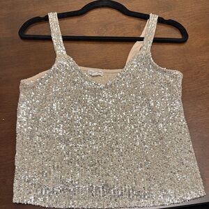 Love on a Hanger Glittering Silver Sequin Tank Top
